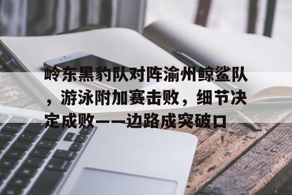 KAIYUN SPORTS-岭东黑豹队对阵渝州鲸鲨队，游泳附加赛击败，细节决定成败——边路成突破口的简单介绍