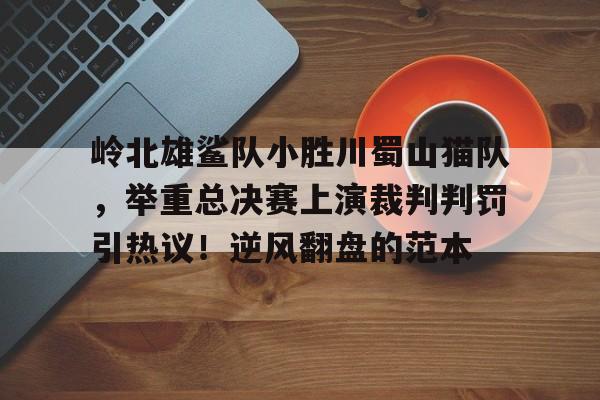 KAIYUN SPORTS-关于岭北雄鲨队小胜川蜀山猫队，举重总决赛上演裁判判罚引热议！逆风翻盘的范本的信息